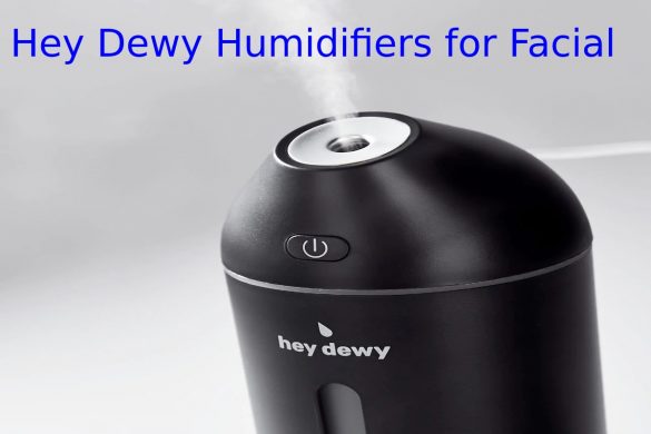 Hey Dewy Humidifiers for Facial