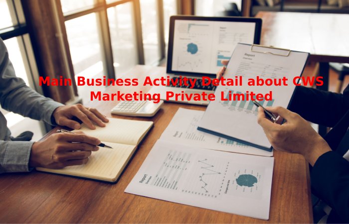 Main Business Activity Detail about CWS Marketing Private Limited