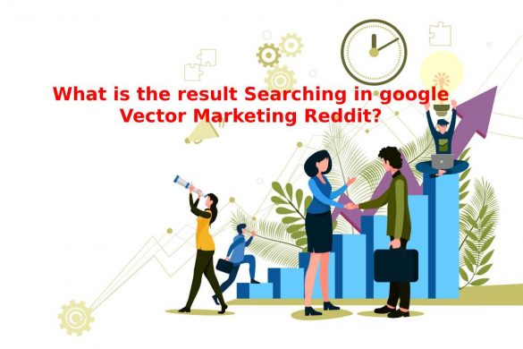 What is the result Searching in google Vector Marketing Reddit_