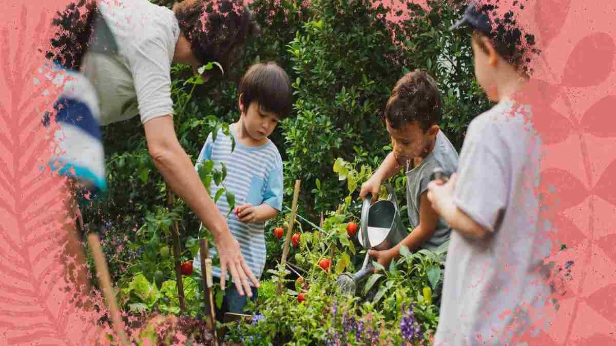 Instituto Futuro E Acao Escola De Educacao Infantil Futuro Em Acao Brasilia