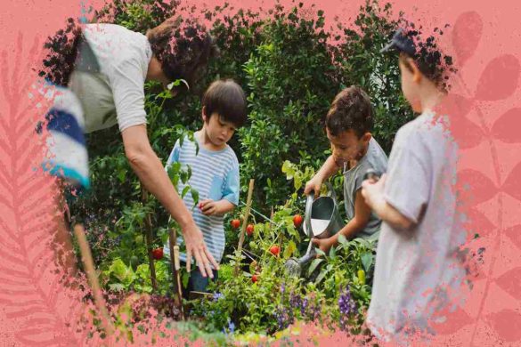 Instituto Futuro E Acao Escola De Educacao Infantil Futuro Em Acao Brasilia