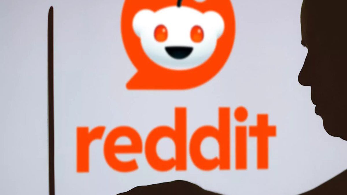 What is the result Searching in google Vector Marketing Reddit?